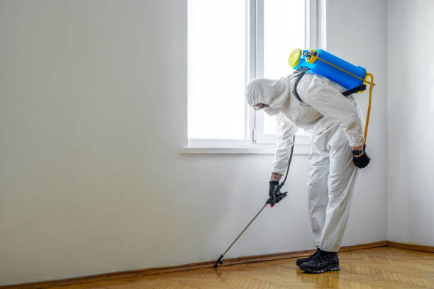 Best Pest Prevention Services  in Wytheville, VA